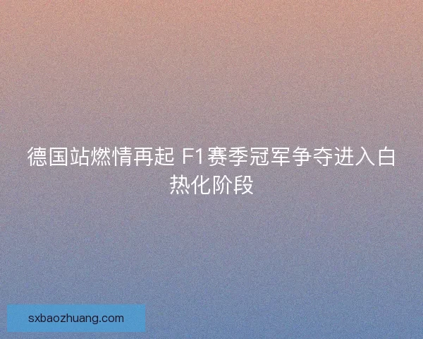德国站燃情再起 F1赛季冠军争夺进入白热化阶段