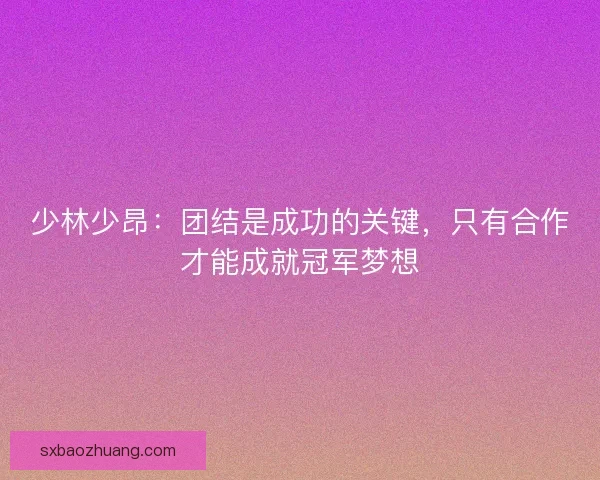 少林少昂：团结是成功的关键，只有合作才能成就冠军梦想