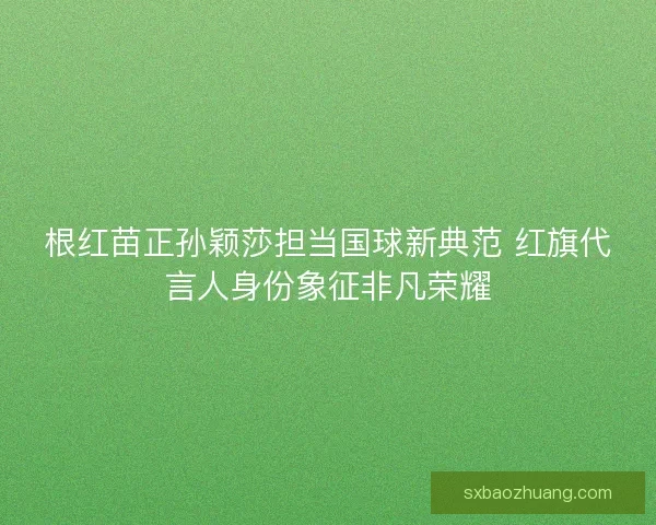 根红苗正孙颖莎担当国球新典范 红旗代言人身份象征非凡荣耀